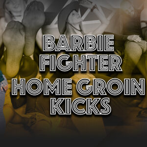 BARBIE FIGHTER - HOME GROIN KICKS