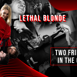 revenge for bullying